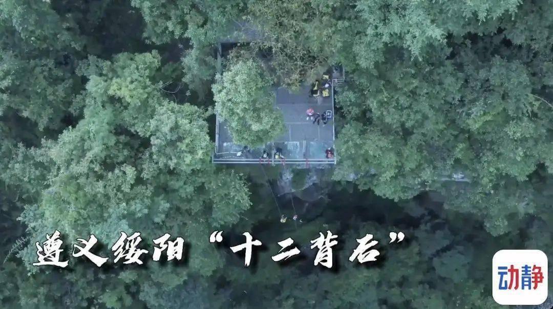 我的家规用英语来写作文-专业问答平台,一问百解